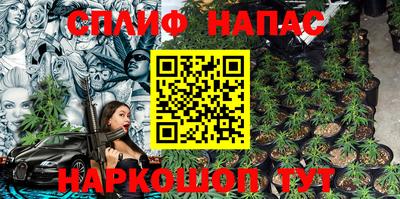 бошки Бийск