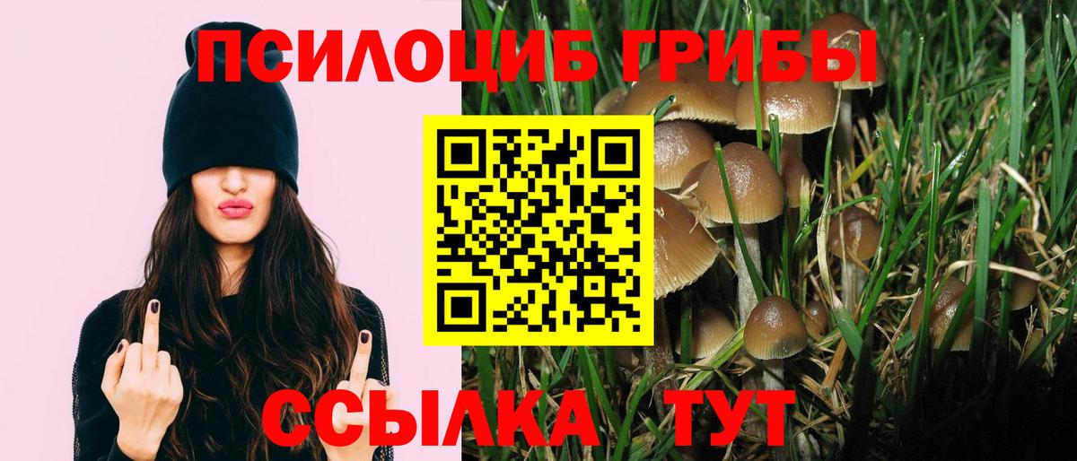 Псилоцибиновые грибы Psilocybine cubensis  Псилоцибиновые грибы Cubensis  Апрелевка  Вход с VPN 